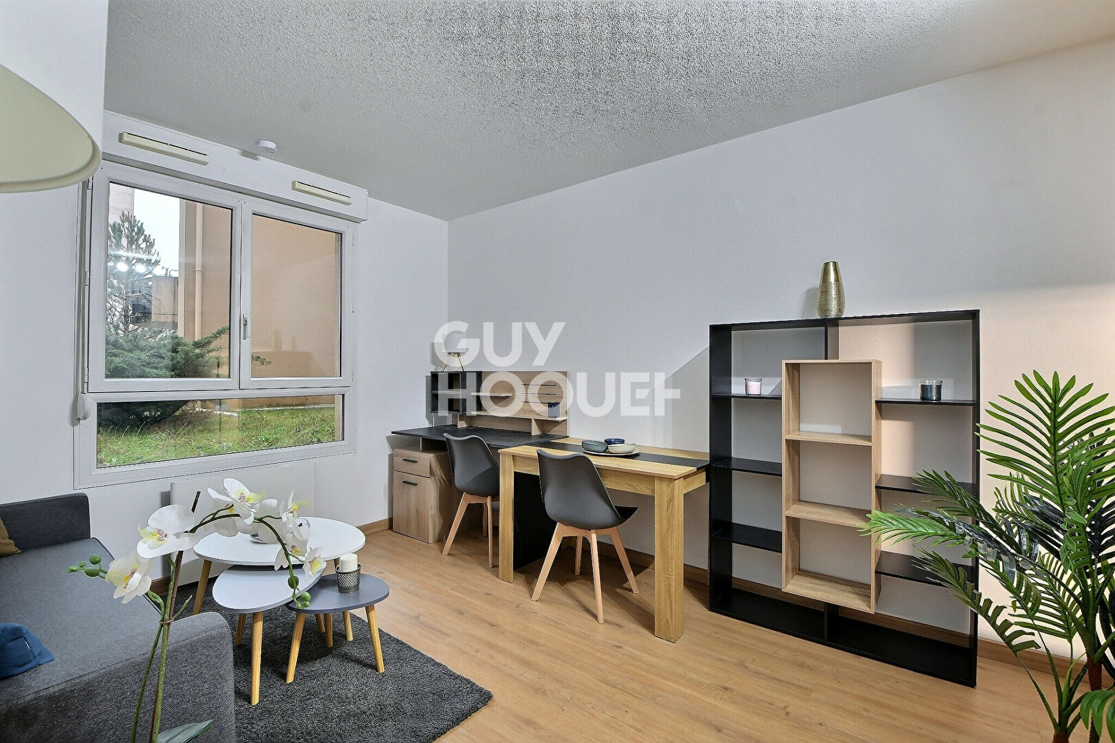 Appartement T1 de 20 m² rénové , Secteur Laënnec Grange Blanche, Lyon 8ème (69008)