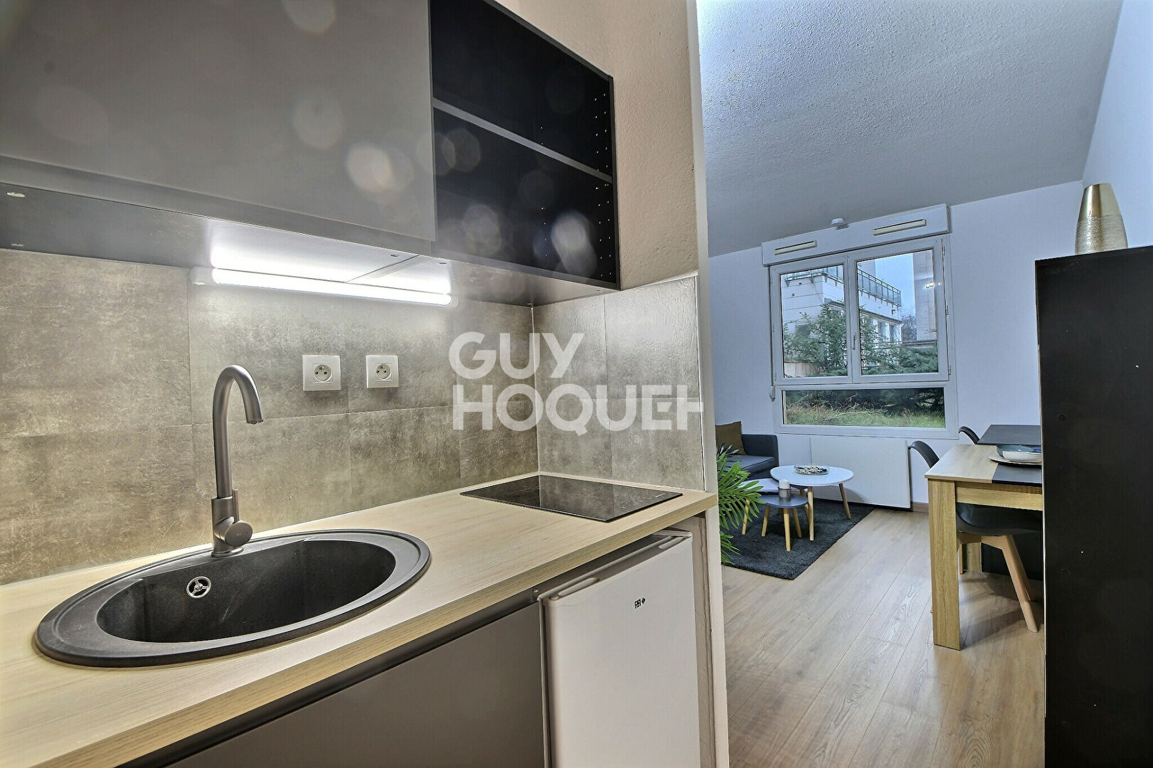 Appartement T1 de 20 m² rénové , Secteur Laënnec Grange Blanche, Lyon 8ème (69008)