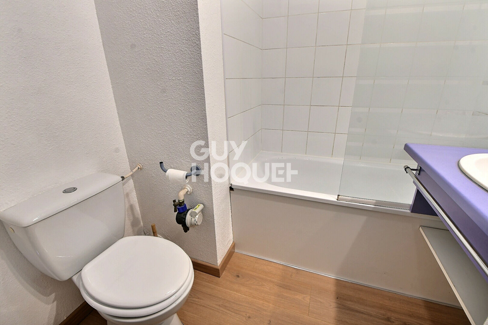 Appartement T1 de 20 m² rénové , Secteur Laënnec Grange Blanche, Lyon 8ème (69008)