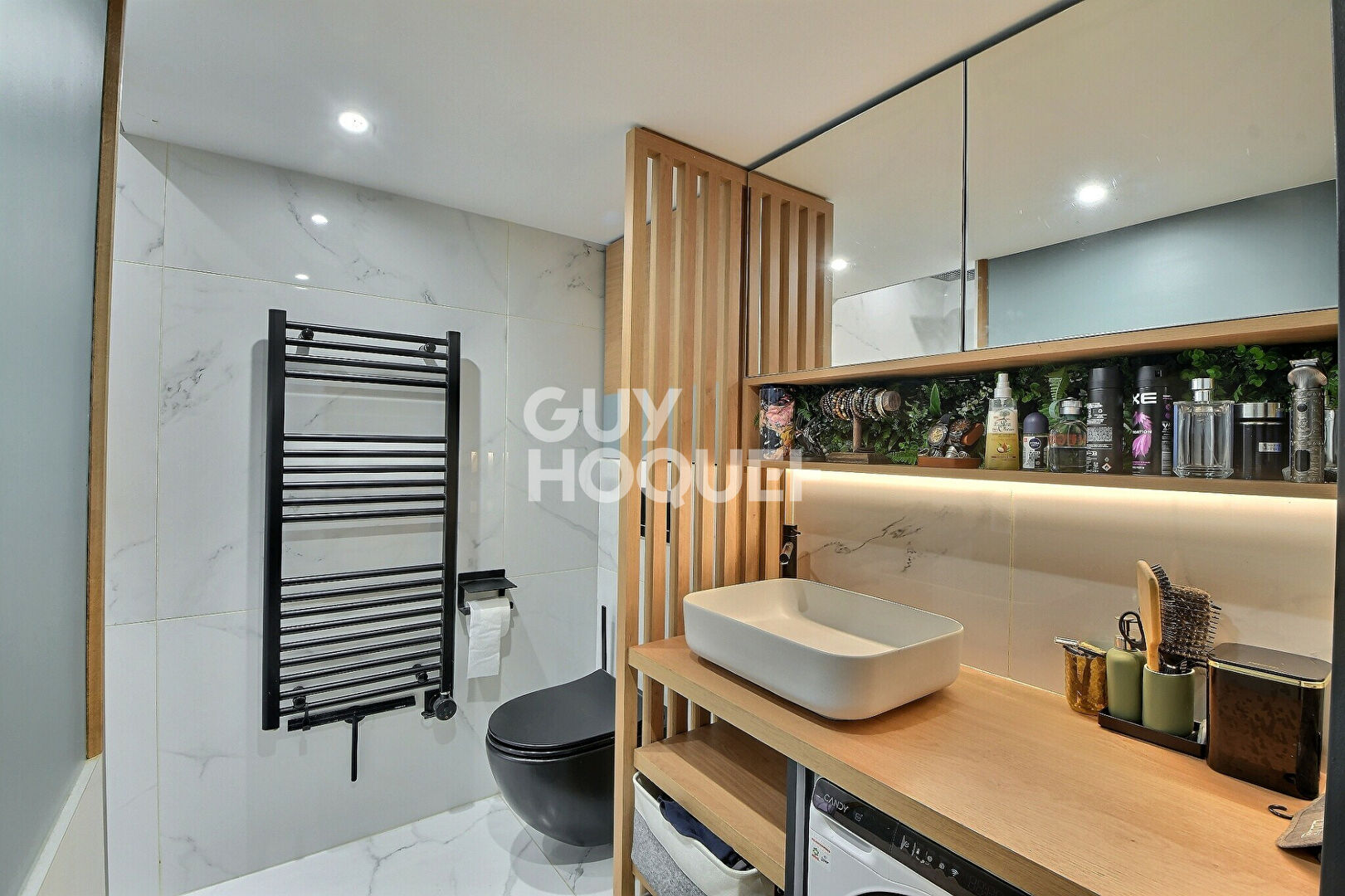 Appartement Lyon 1 pièce 39 m² (25,92 m² carrez) - meublé - Félix Faure, Lyon 3ème (69003)