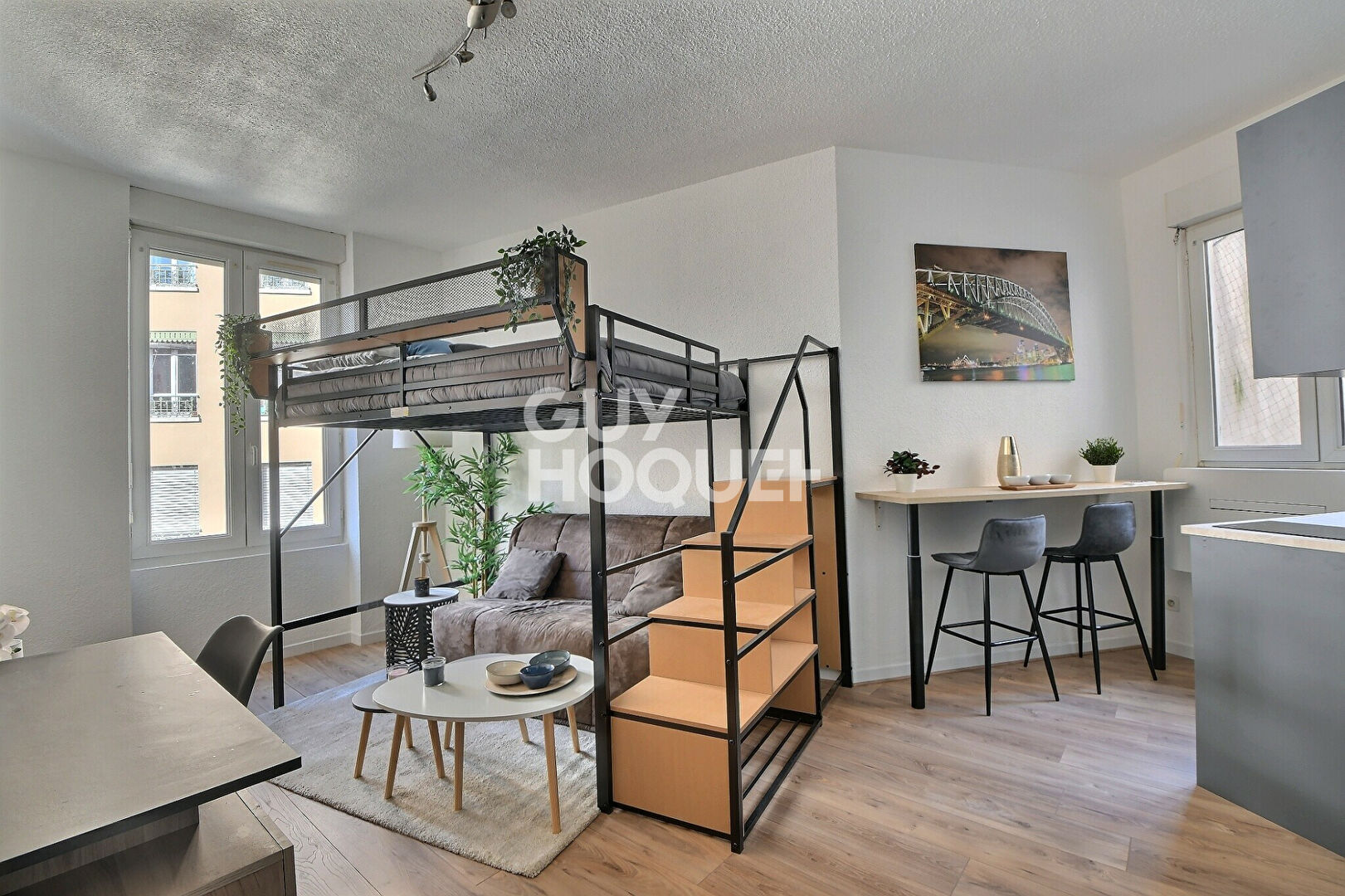 A VENDRE - Charmant T1  20 m² rénové et meublé  Proche métro B Charpennes, Villeurbanne (69100)