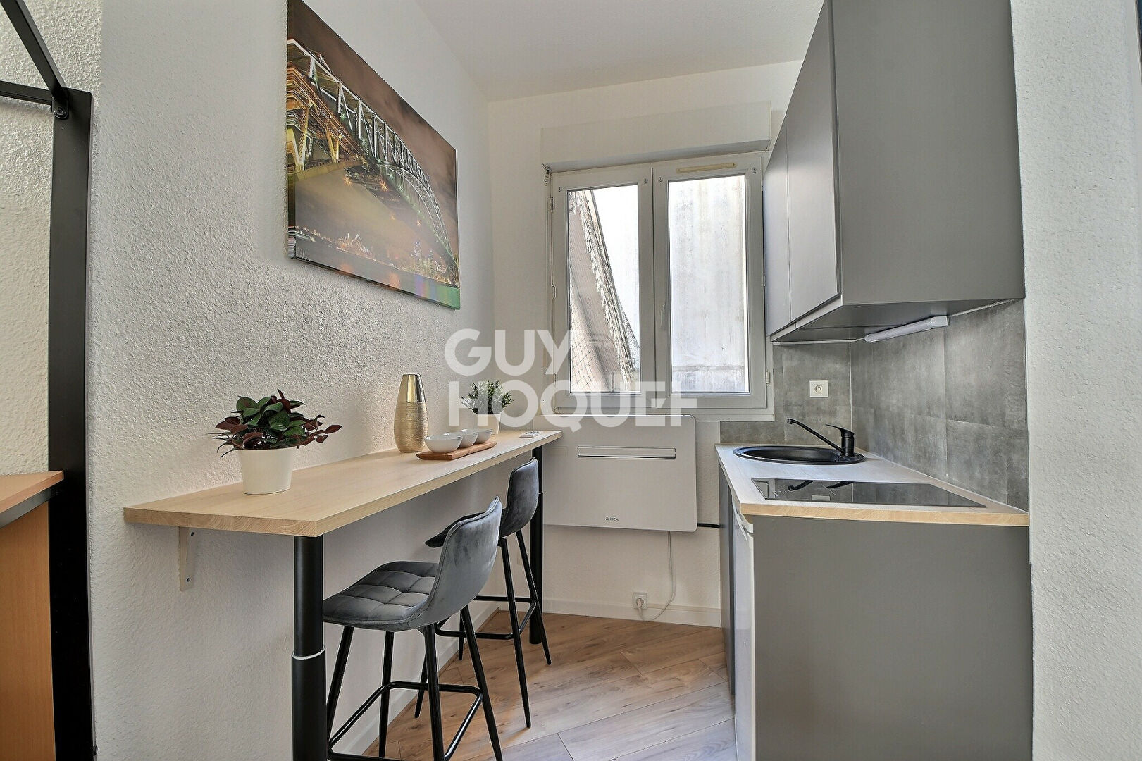 A VENDRE - Charmant T1  20 m² rénové et meublé  Proche métro B Charpennes, Villeurbanne (69100)