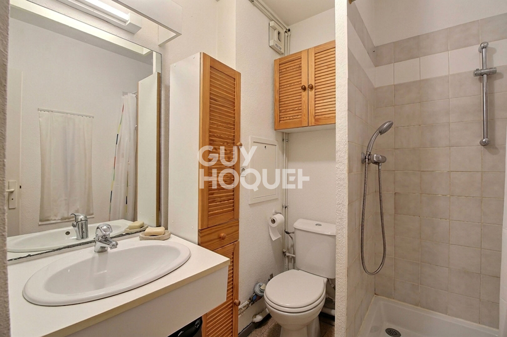 Jet d'eau, appartement T2 de 31 m² (Actuellement loué), proximité Sans Souci, Lyon 8ème (69008)