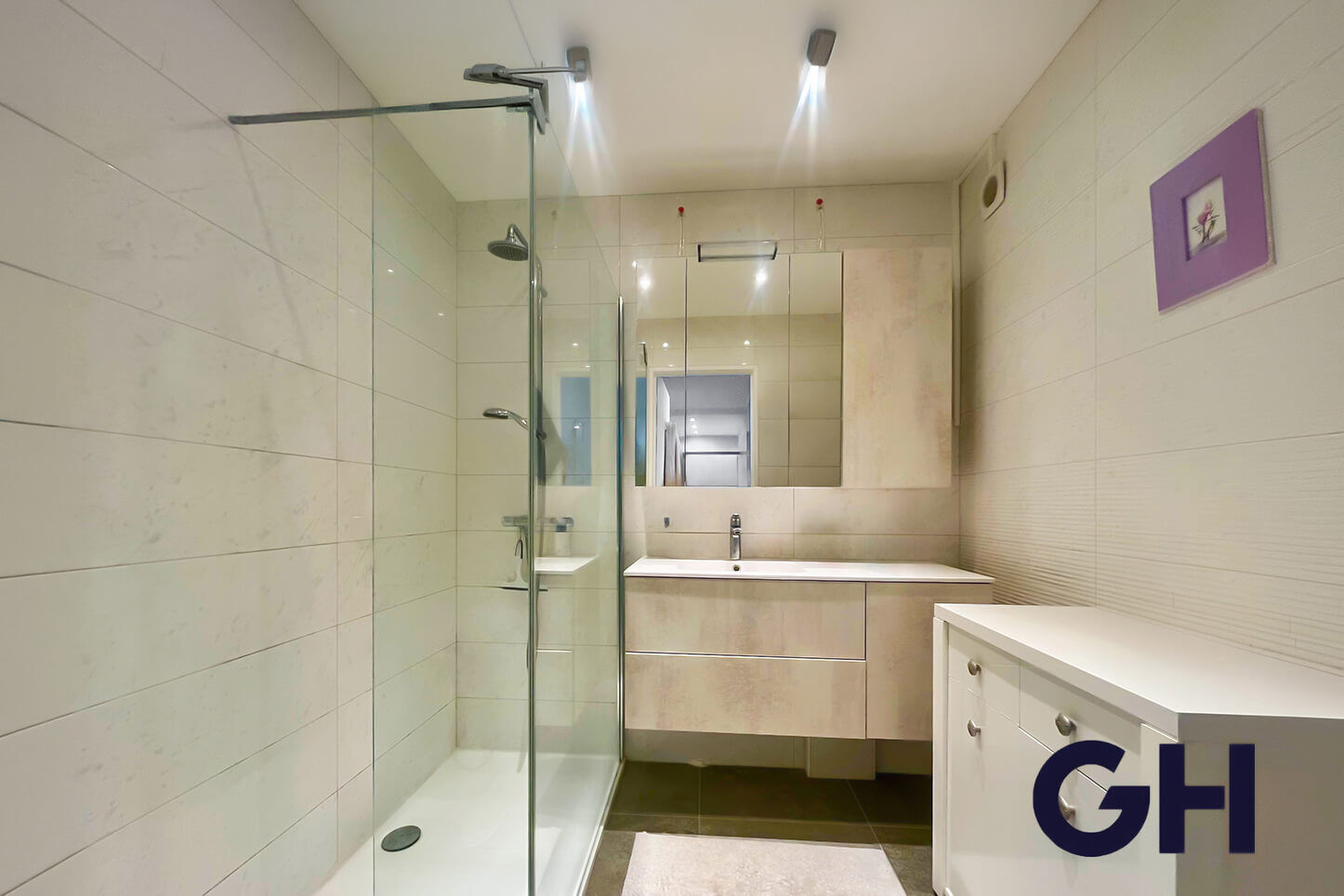 Appartement 4 pièces, Lyon 8e - Proche métro D Sans Souci / Montplaisir