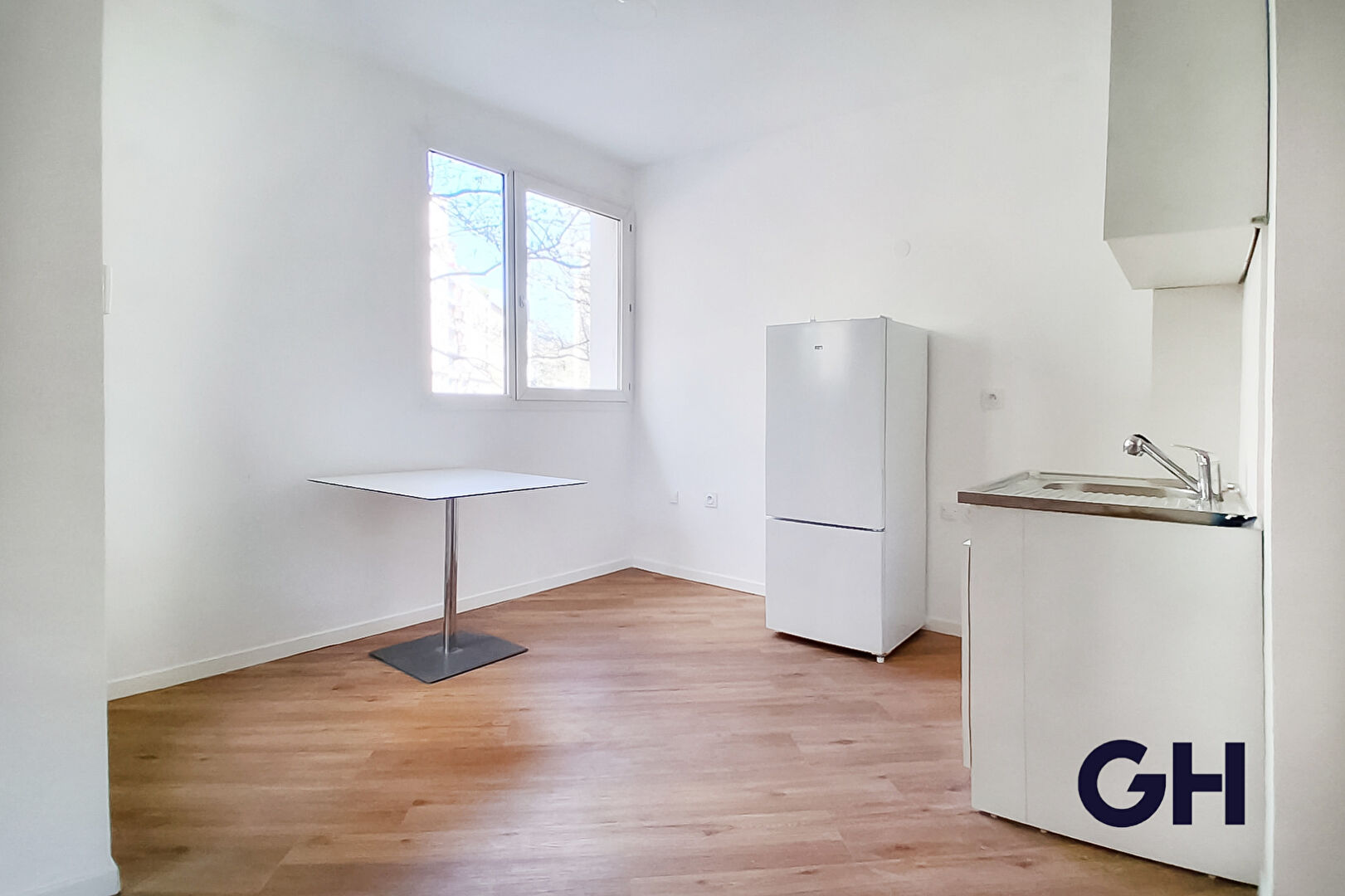 CALUIRE - T2 de 55 m² - REFAIT À NEUF - CLIMATISÉ - LOGGIA