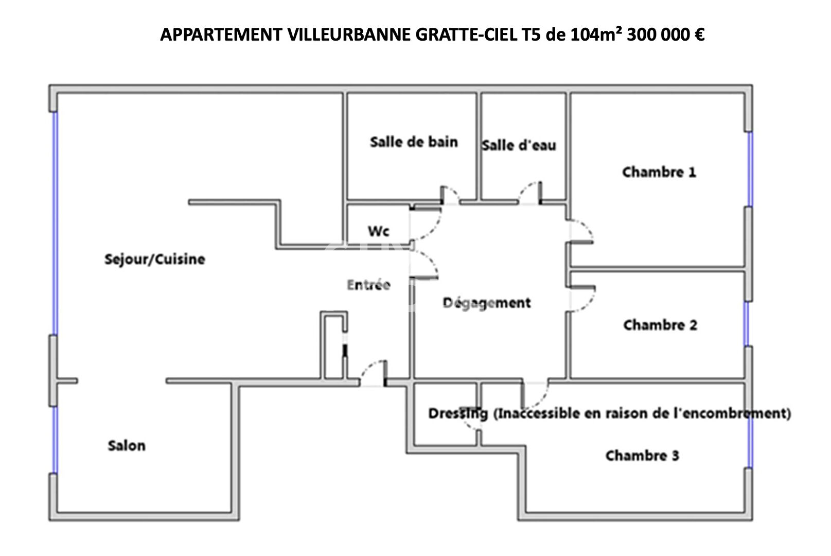 VILLEURBANNE, QUARTIER GRATTE CIEL - T4 / T5 familial