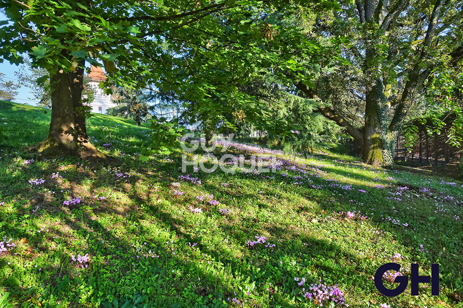 Appartement 3 pièces - Maison Bourgeoise - Vassieux, Caluire Et Cuire