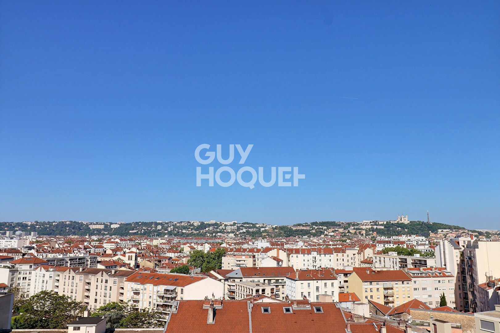T1bis avec vue panoramique sur Lyon - pied métro Garibaldi