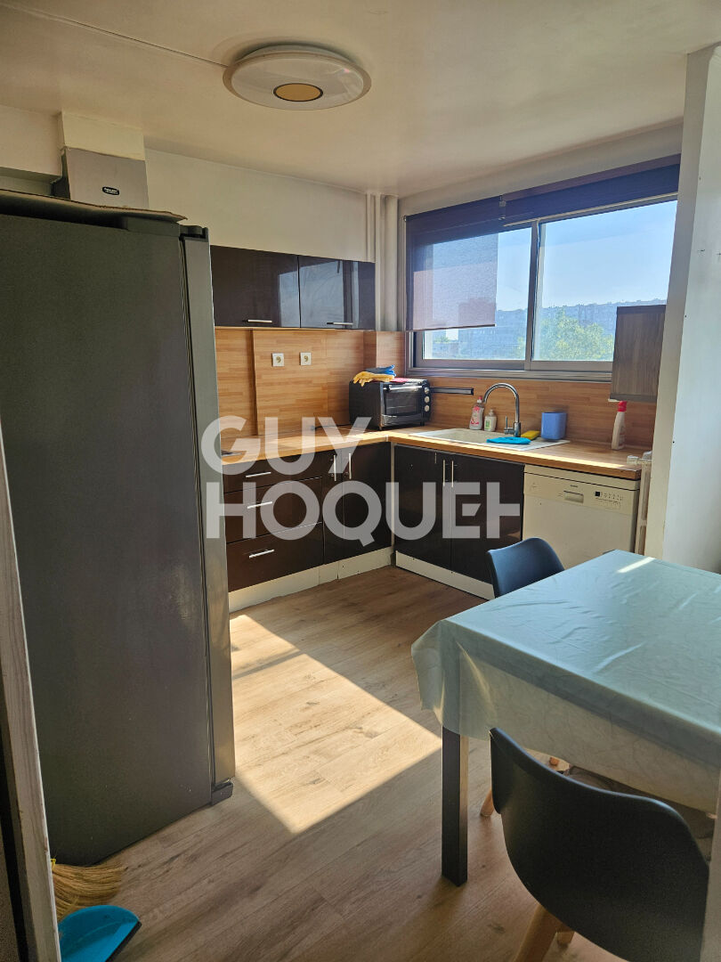 Appartement 3/4 pièces meublé - Maisons-Alfort Centre-Vert de Maison