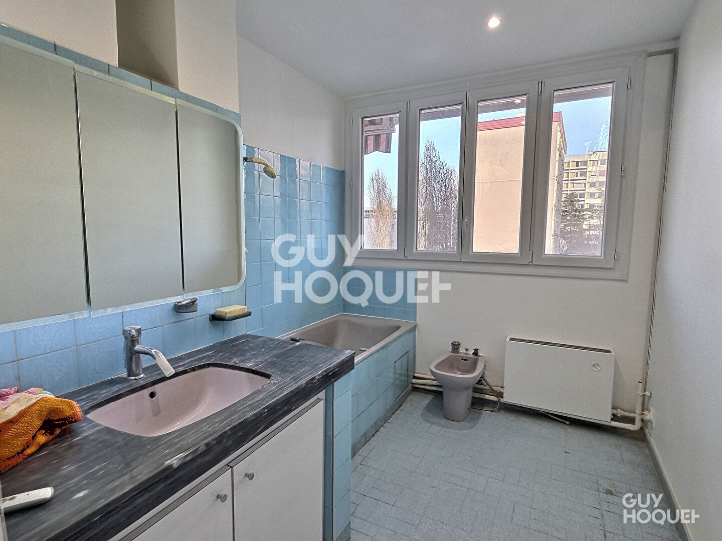 À vendre : Appartement 4 pièces avec vue dégagée à Maisons-Alfort