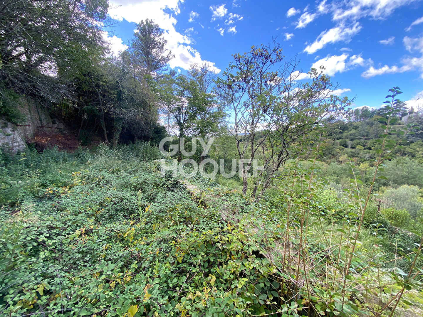 Magnifique maison, idéalement situé, avec beau potentiel