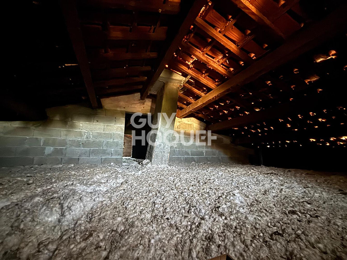 Maison de 220 m2 avec 2 parcelles de terrain constructible sur Saint Etienne De Fontbellon