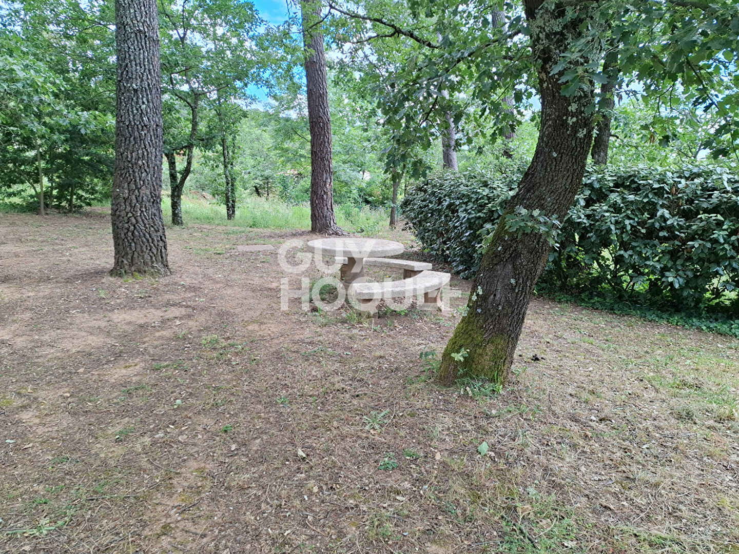Charmant Appartement Meublé de Plain-Pied avec Terrasse