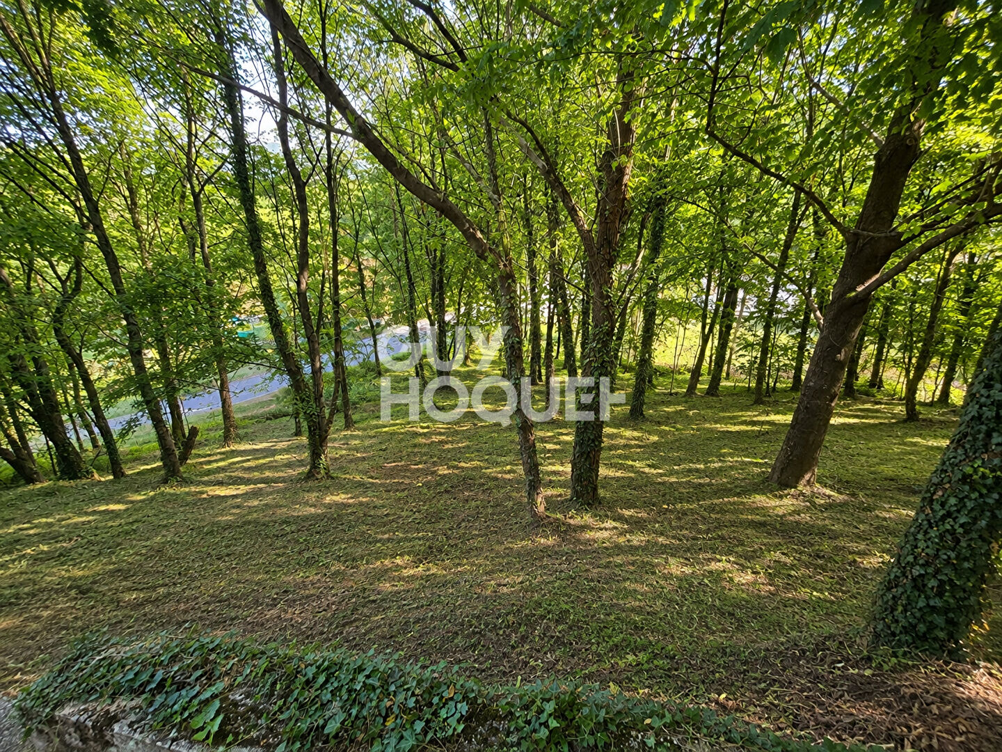 Terrain Thueyts 1431 m2