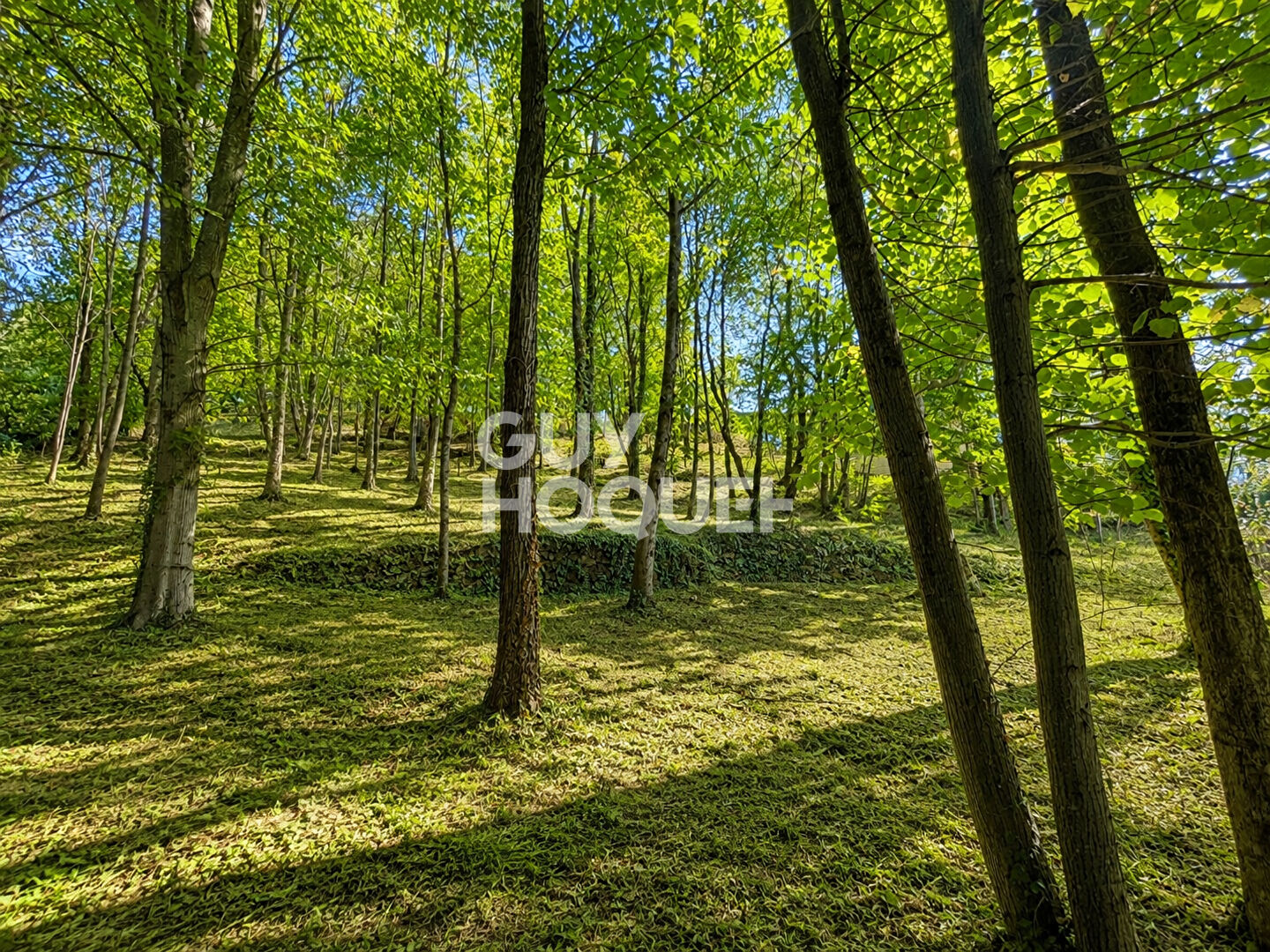 Terrain Thueyts 1431 m2