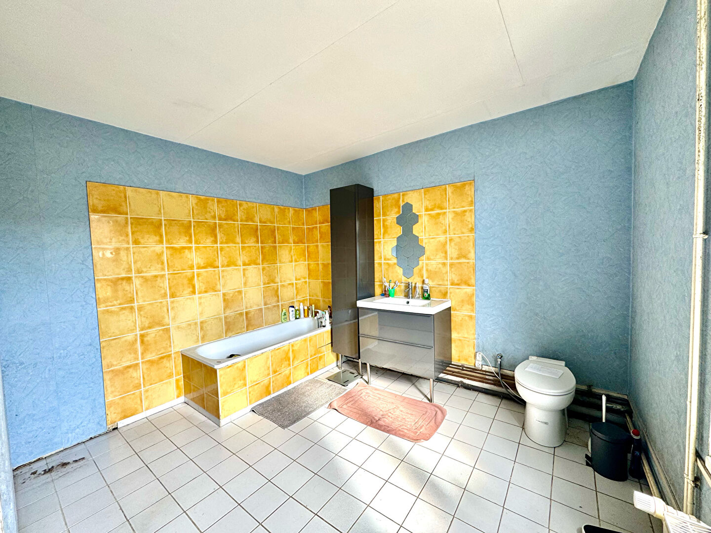 Maison Marcq En Baroeul 4 pièce(s) 117 m2