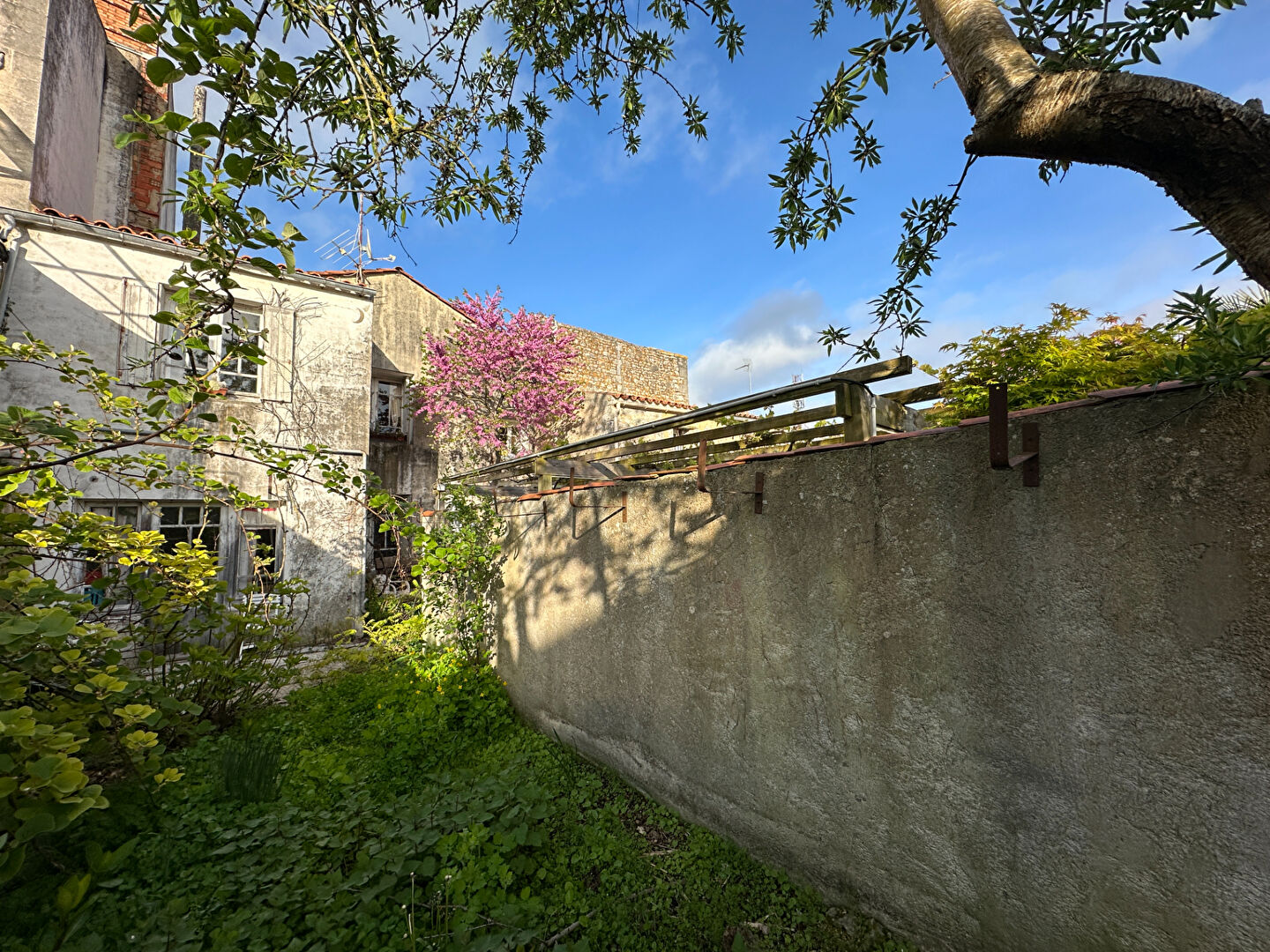 Maison de ville avec appartement et local commercial