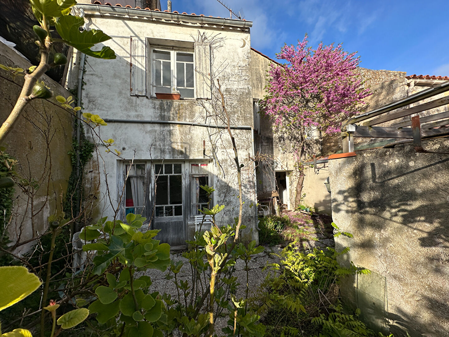 Maison de ville avec appartement et local commercial