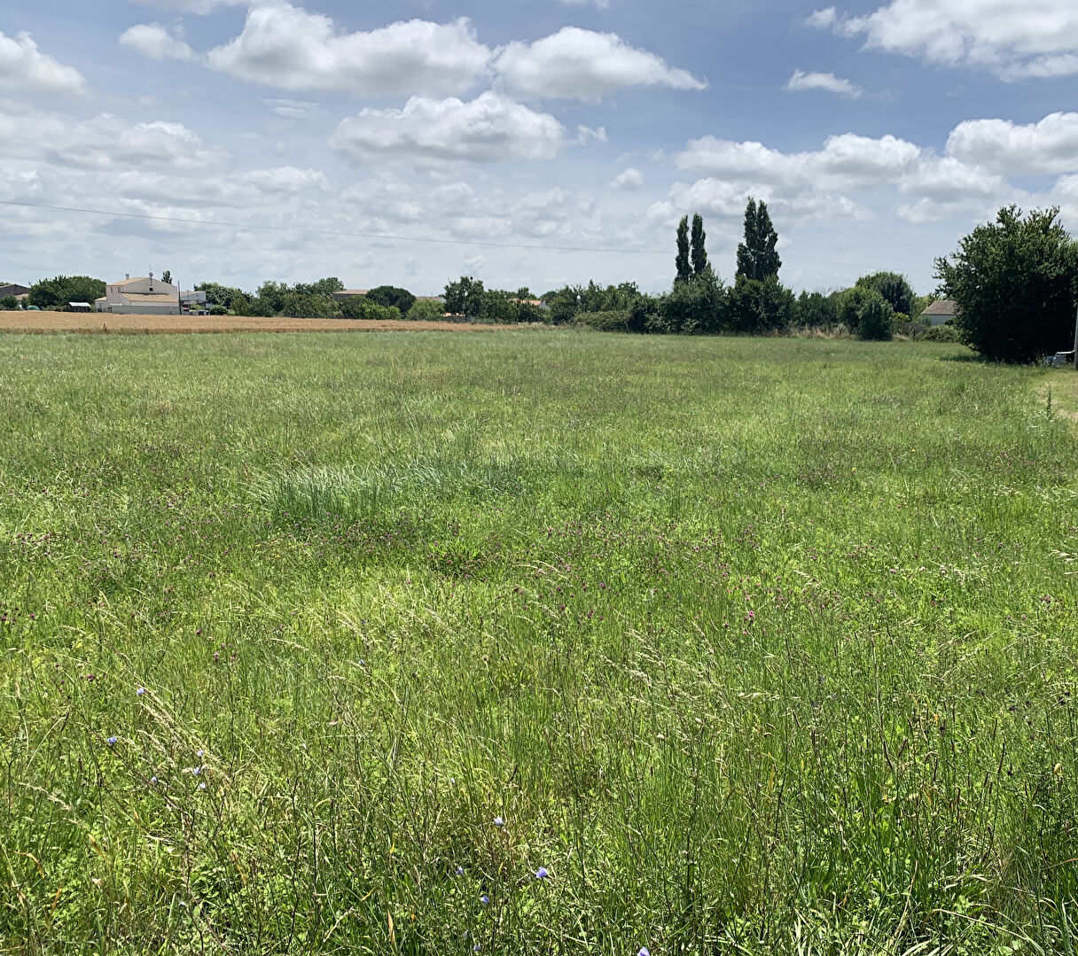 Terrain Nieulle Sur Seudre 481 m2