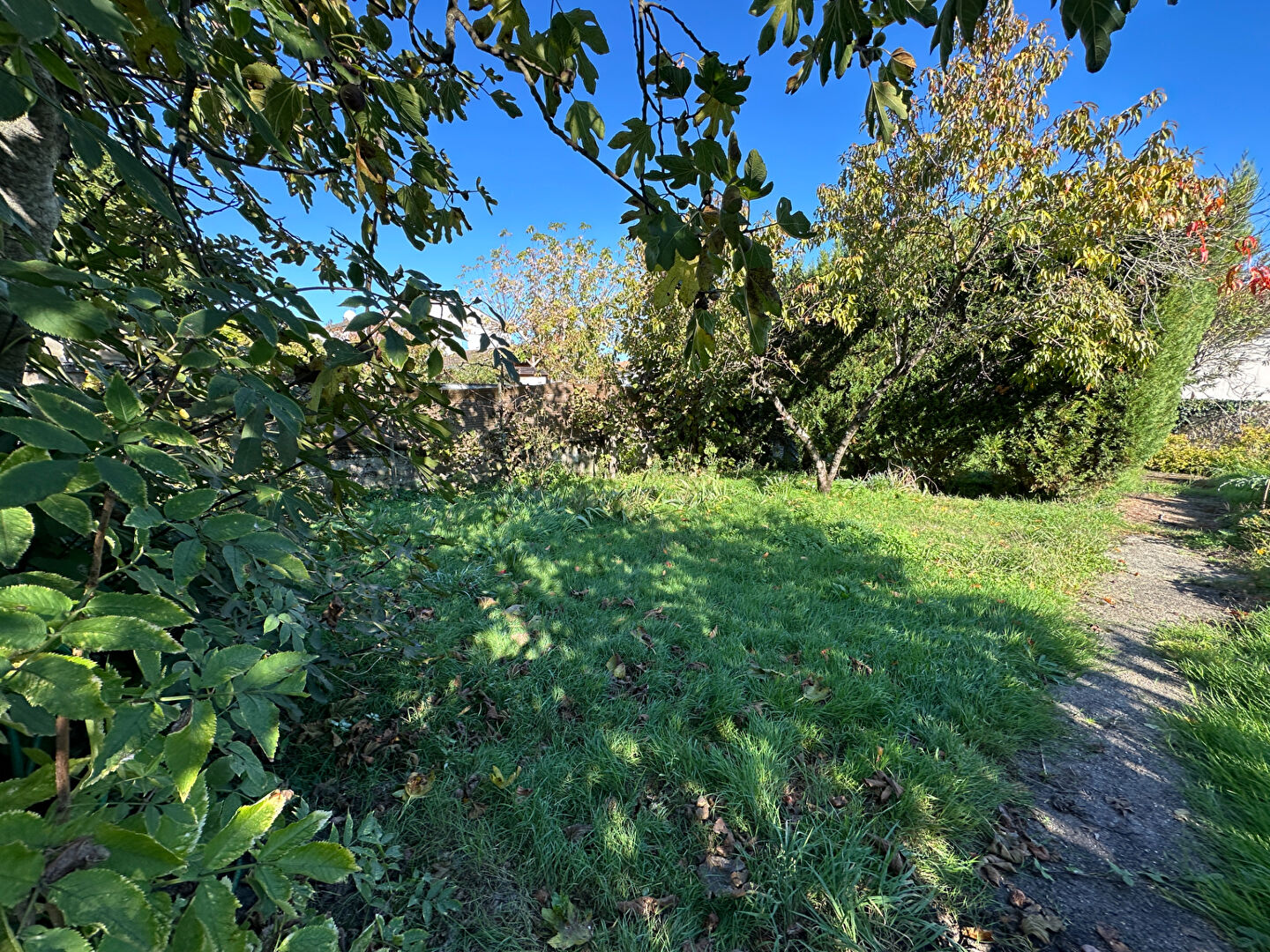 Maison  3 pièce(s) 99 m2