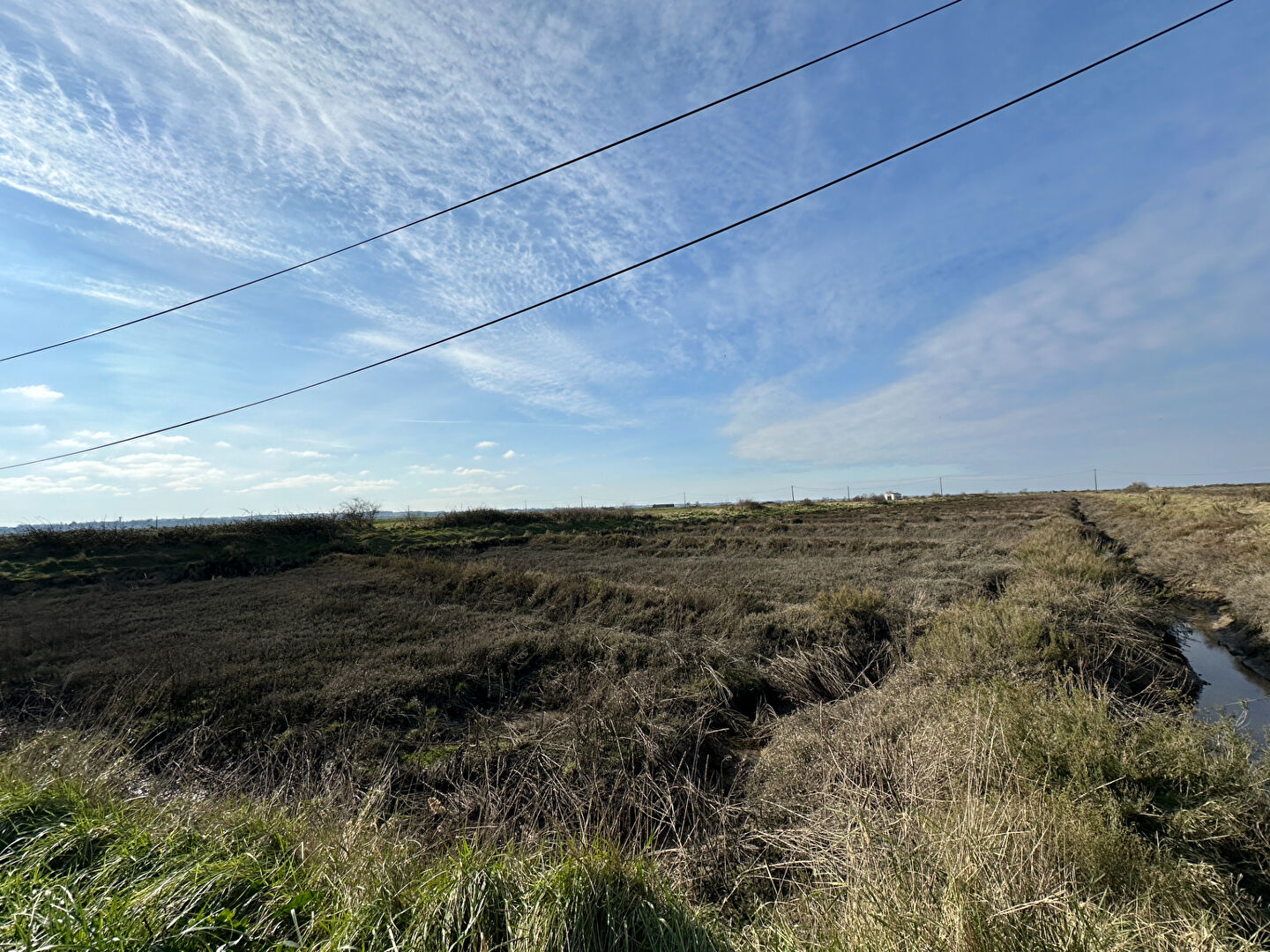 CLAIRES A VENDRE MARAIS DE  NIEUILLE SUR SEUDRE