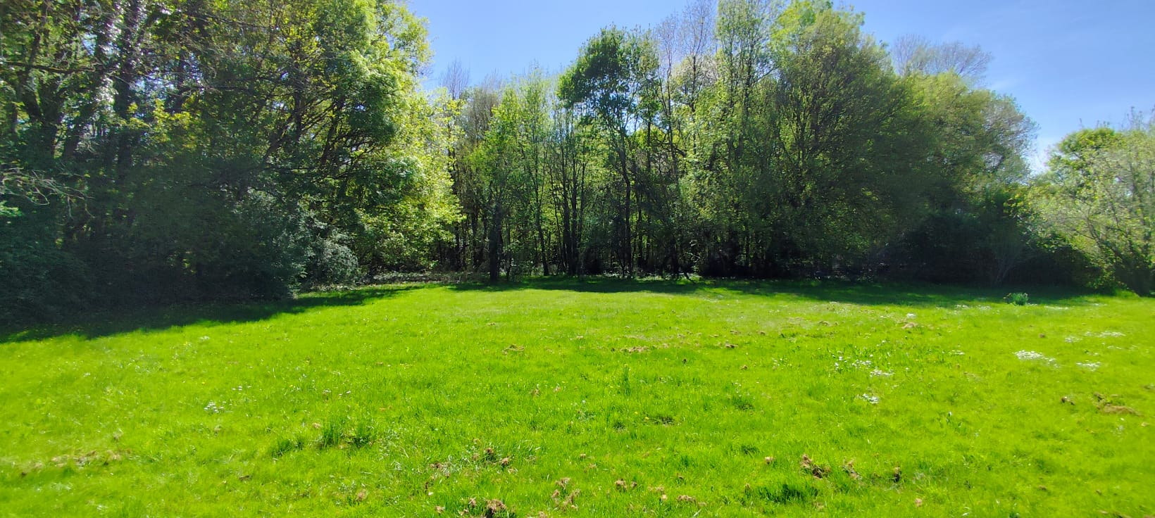 A 10 min de Saintes Rive Gauche