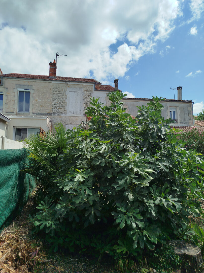 Maison en centre, 3 chambres, à rénover Saintes