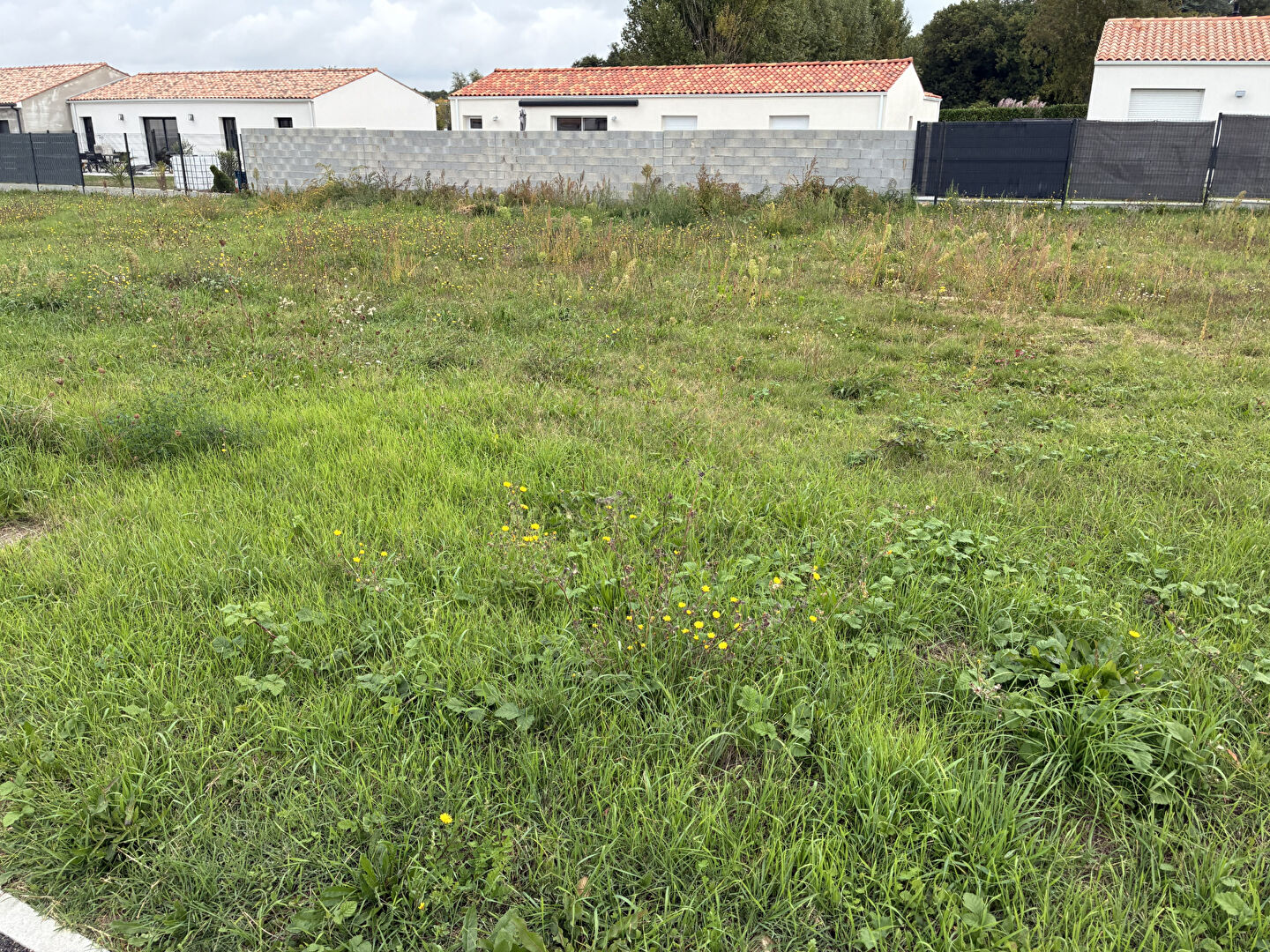 Terrain Saint Just Luzac 583 m2