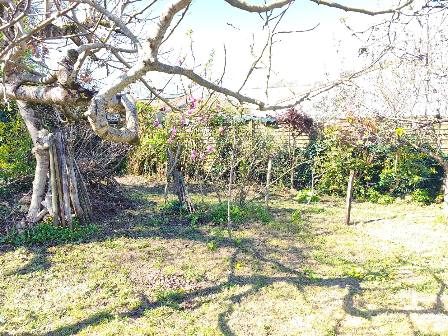 Maison Saintes 4 chambres