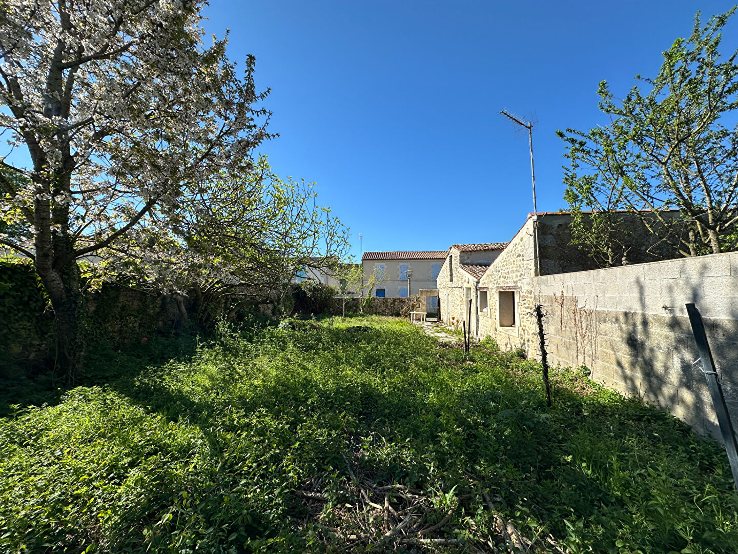 Maison Marennes Hiers Brouage 2 pièce(s) 258 m2