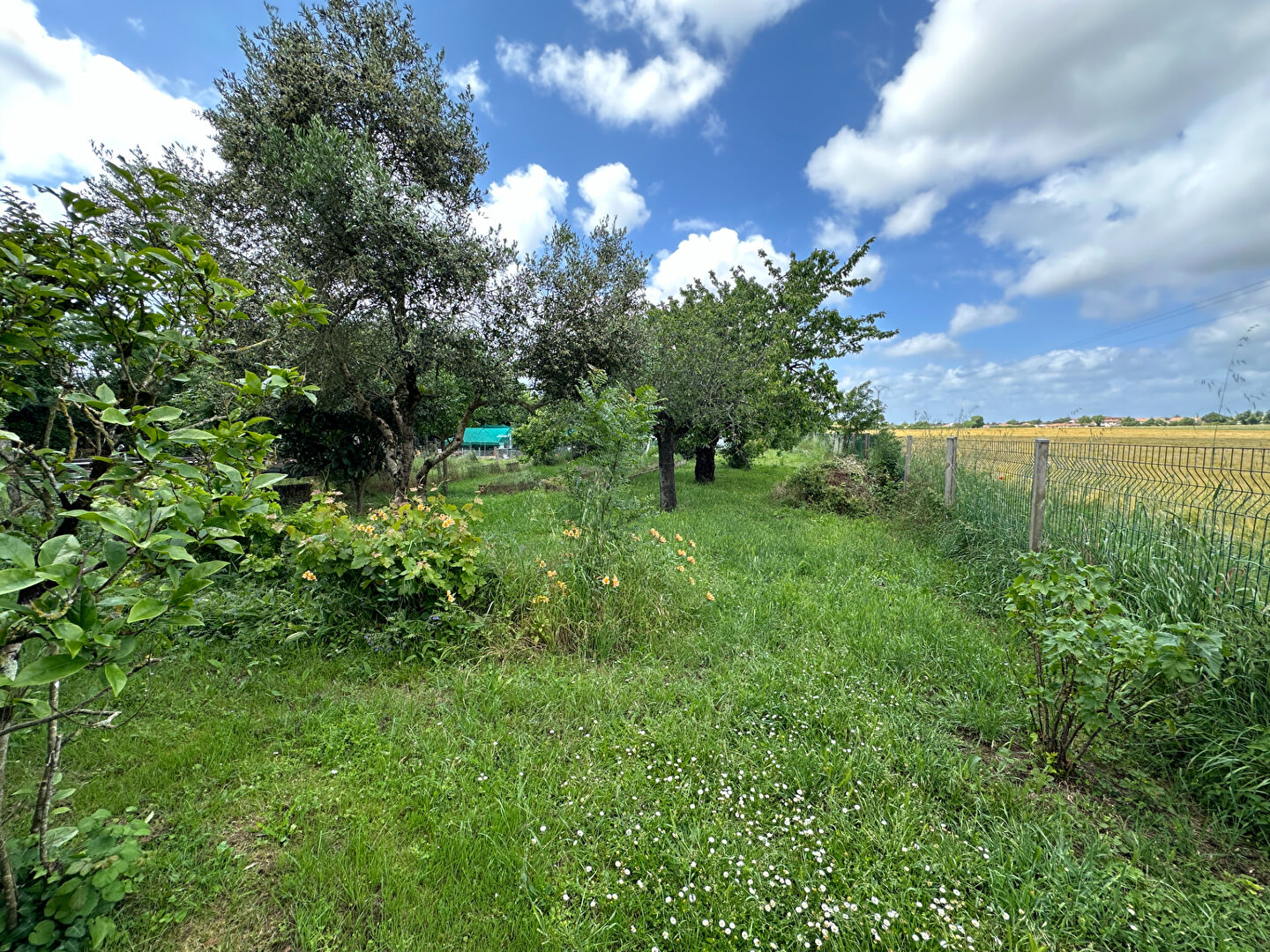 Maison Marennes Hiers Brouage 4 pièce(s) 122.42 m2