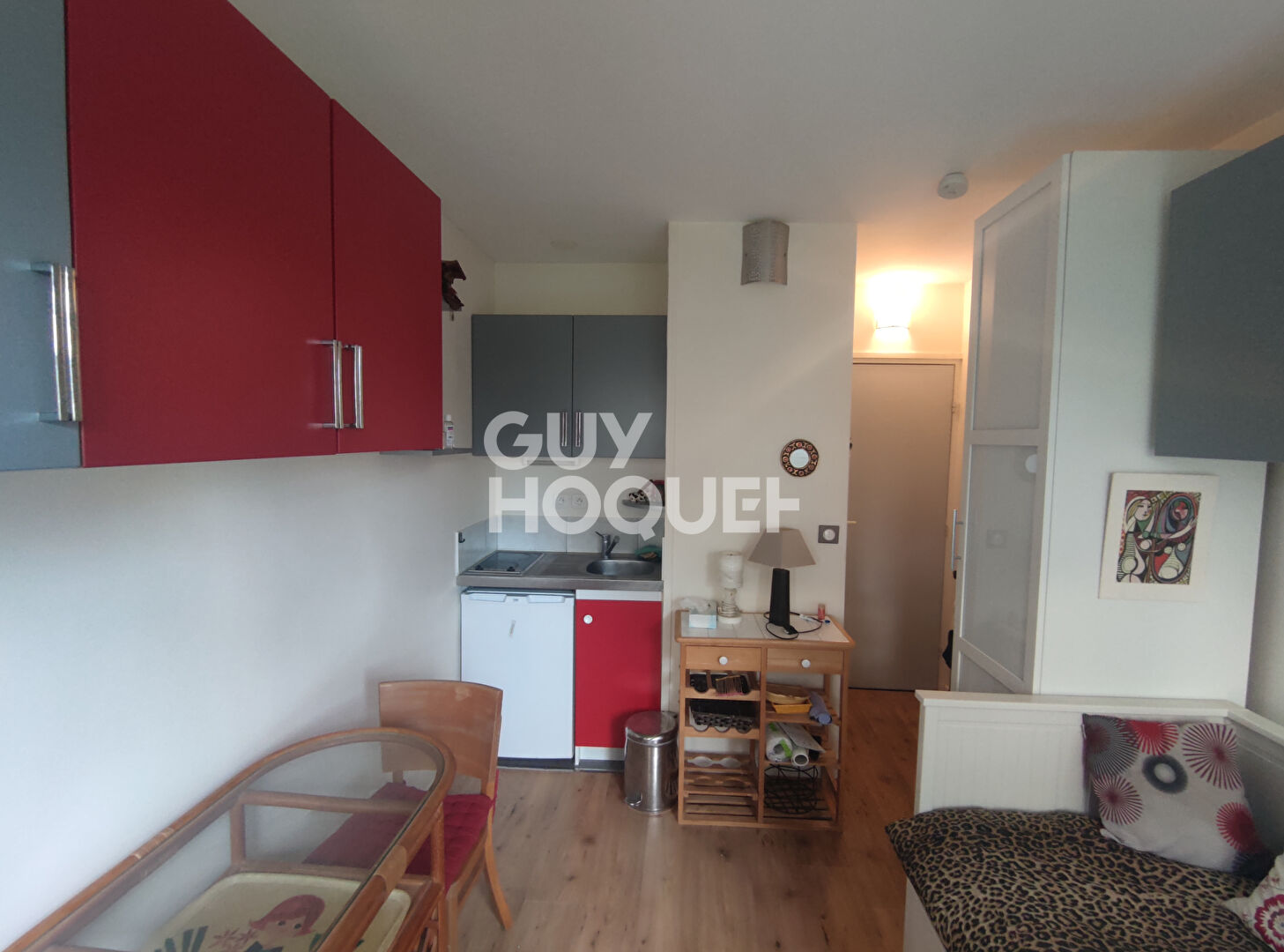 STUDETTE MEUBLEE CENTRE-VILLE