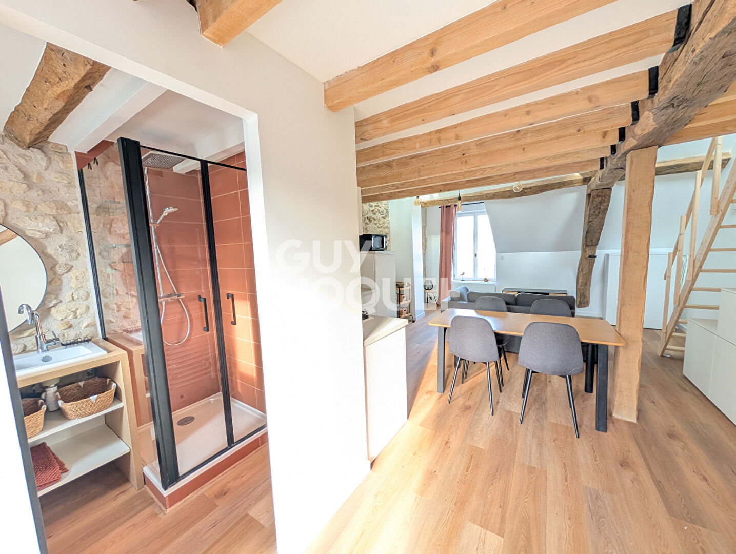 STUDIO MEUBLE avec  mezzanine 31.3 m2