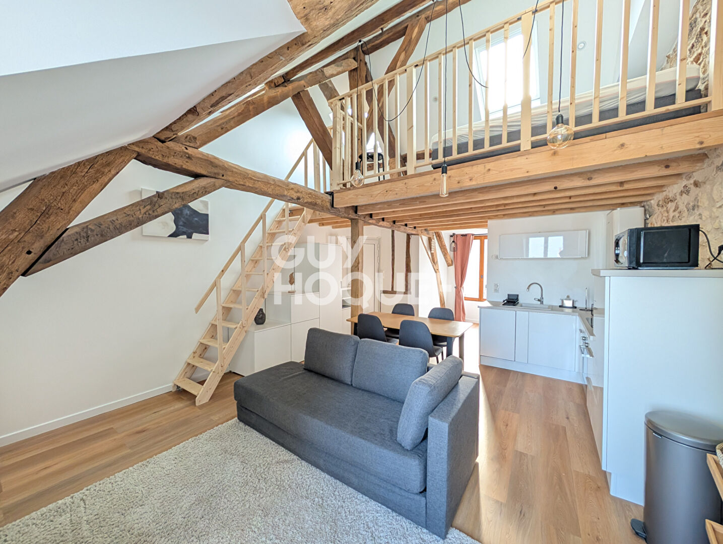 STUDIO MEUBLE avec  mezzanine 31.3 m2