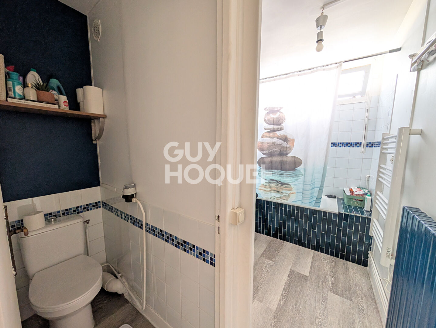 3 PIECES 60m2 CENTRE VILLE