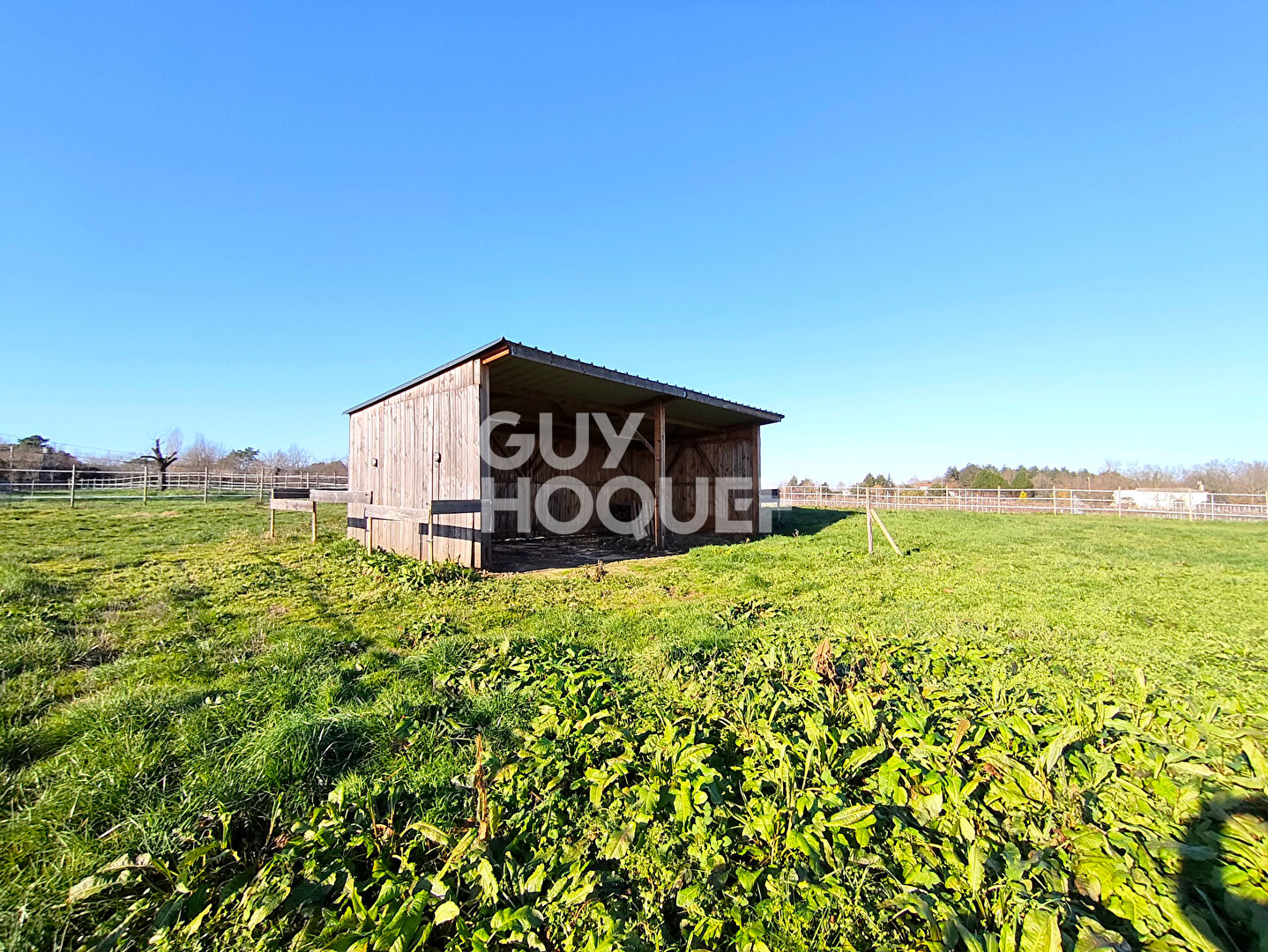 Propriété équestre avec panorama exceptionnel