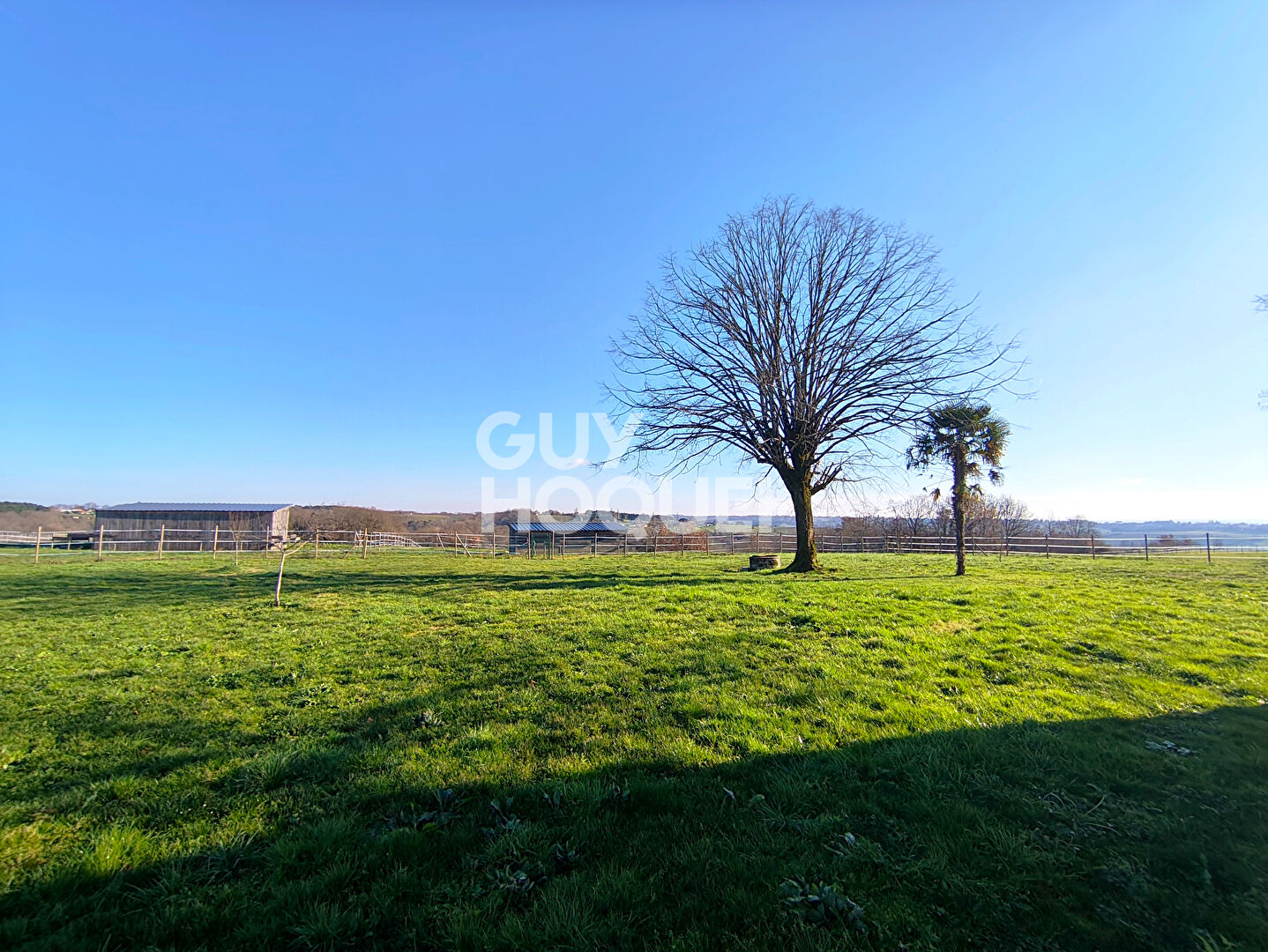 Propriété équestre avec panorama exceptionnel