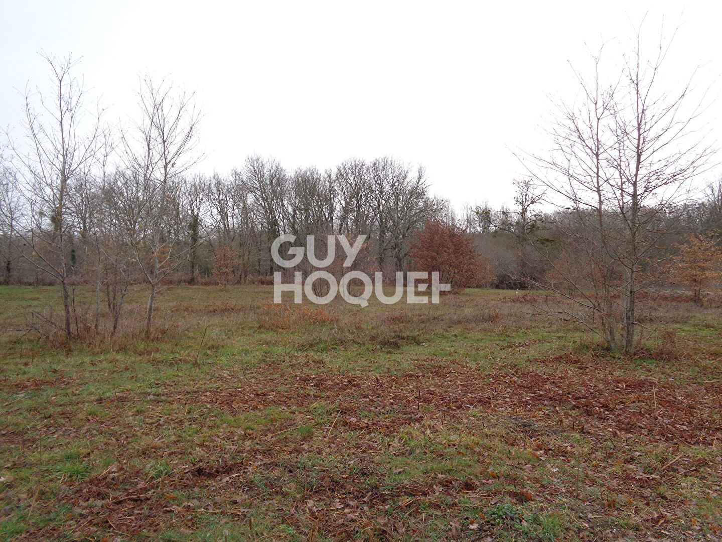 Terrain à bâtir Casteljaloux 1642 m2