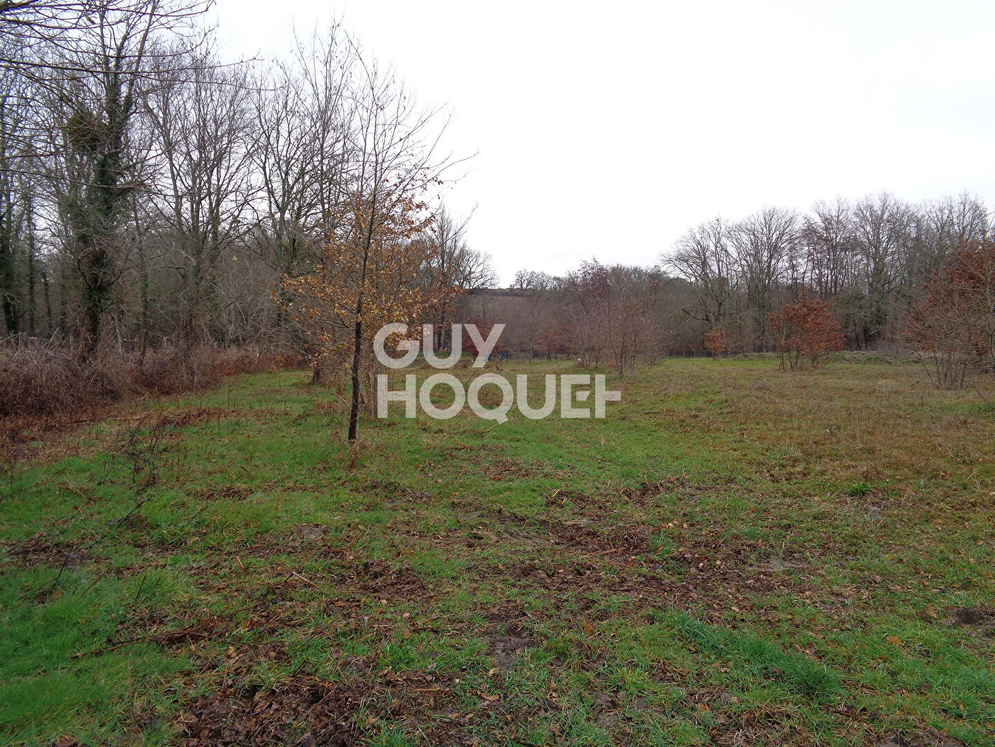 Terrain à bâtir Casteljaloux 1642 m2