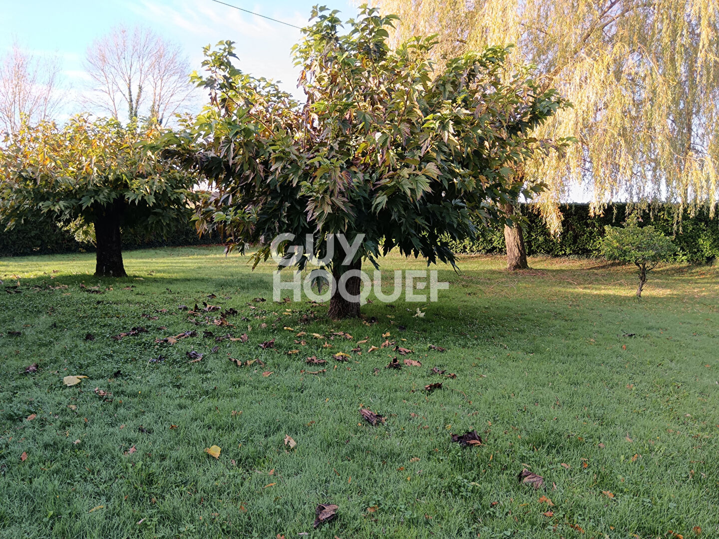 Maison 6 pièces sur terrain de 4 500 m2