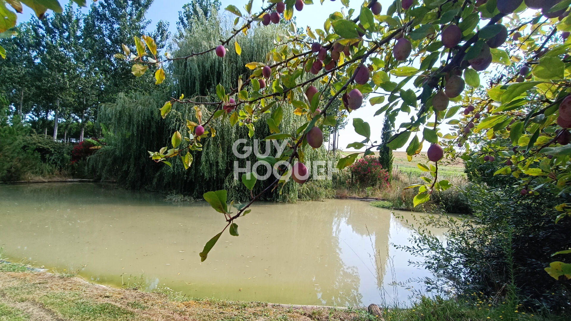 Superbe propriété TONNEINS