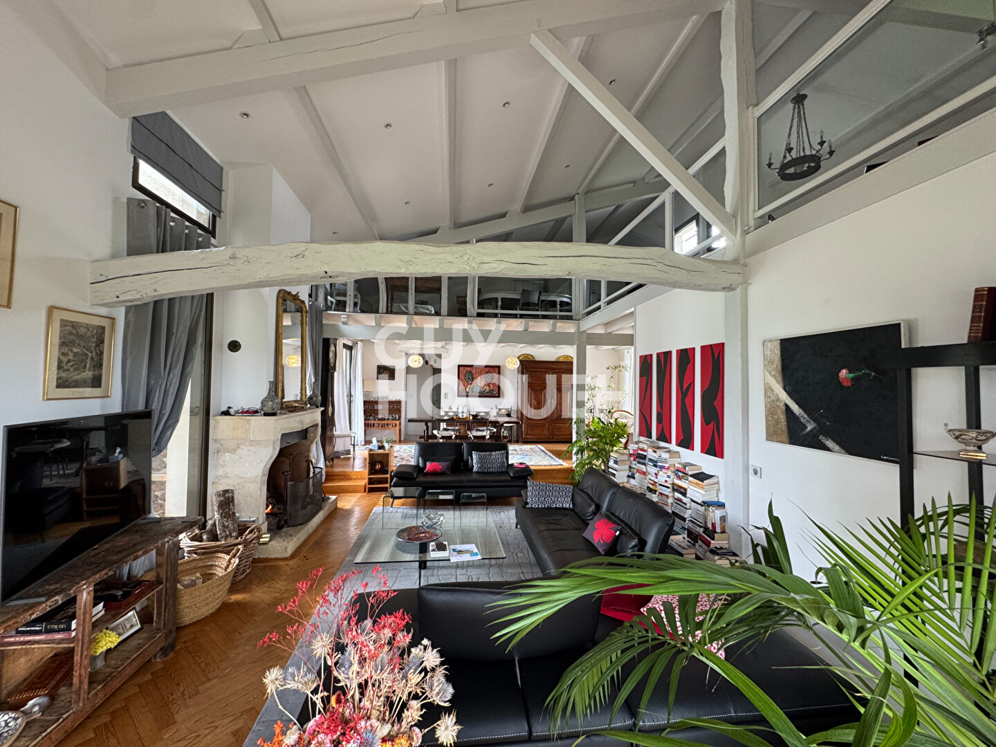 propriété d exception Casteljaloux  270 m2