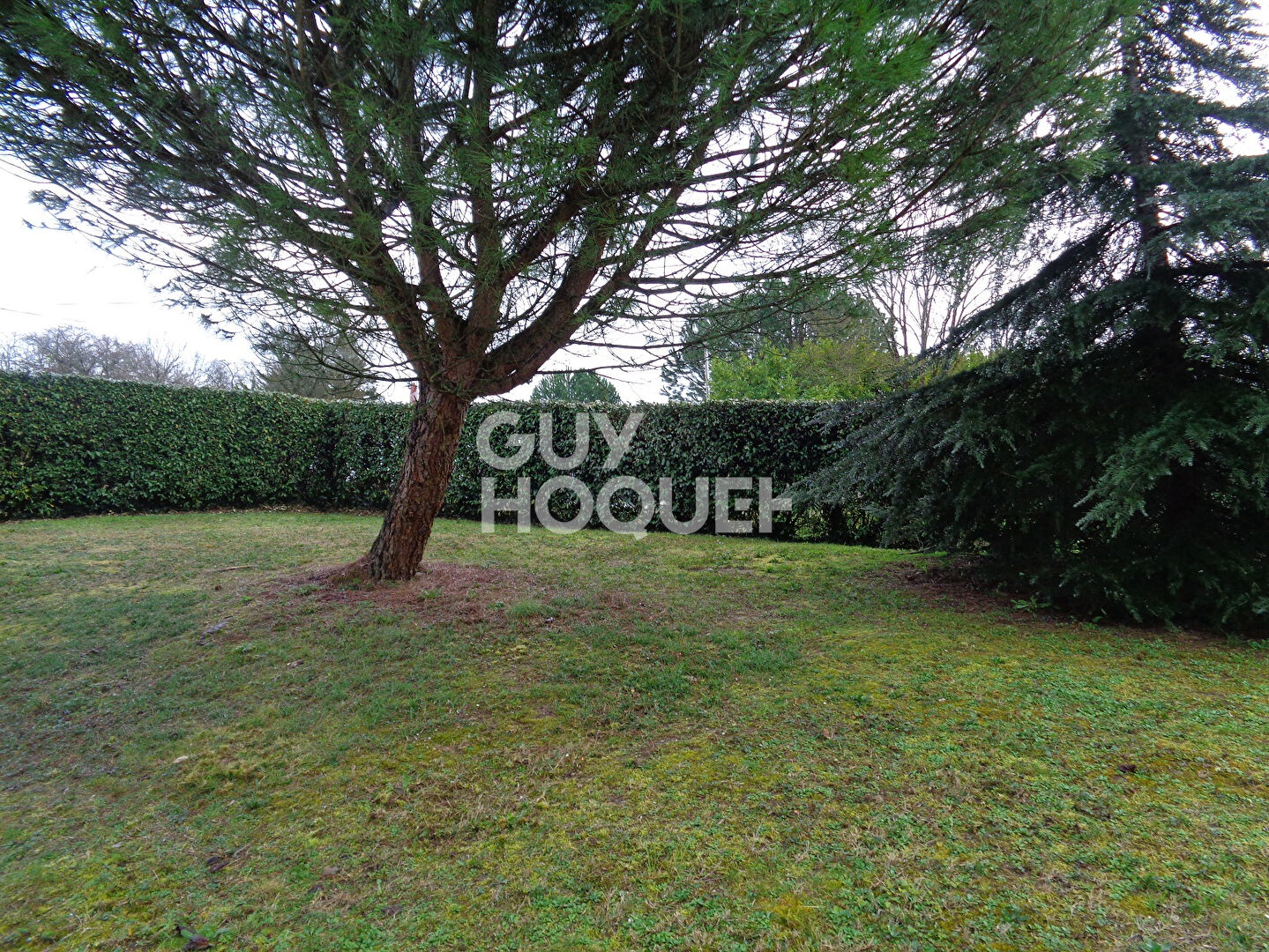 EXCLUSIVITE Appartement T3 avec balcon