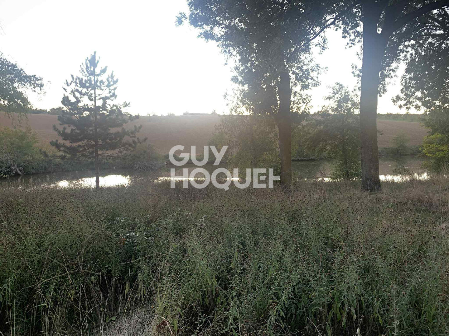 Ensemble immobilier avec maison, grange, et terrain