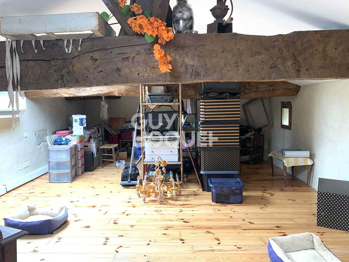 Maison chaleureuse et sa dépendance à Monségur