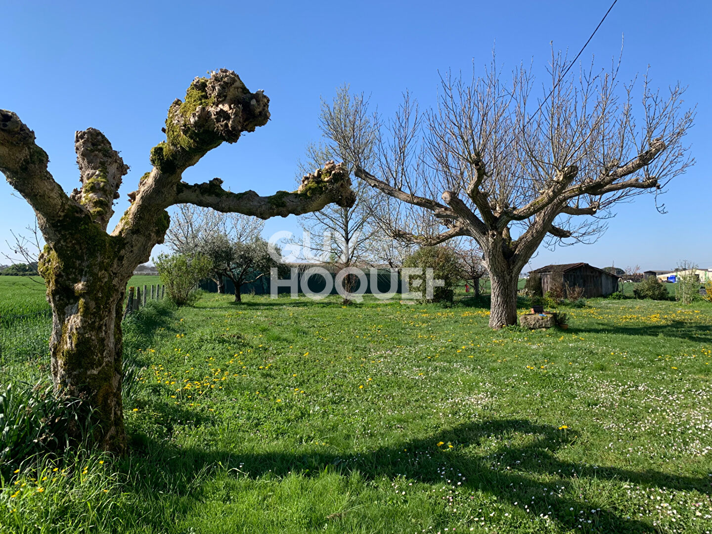 Maison Beaupuy avec 5 chambres