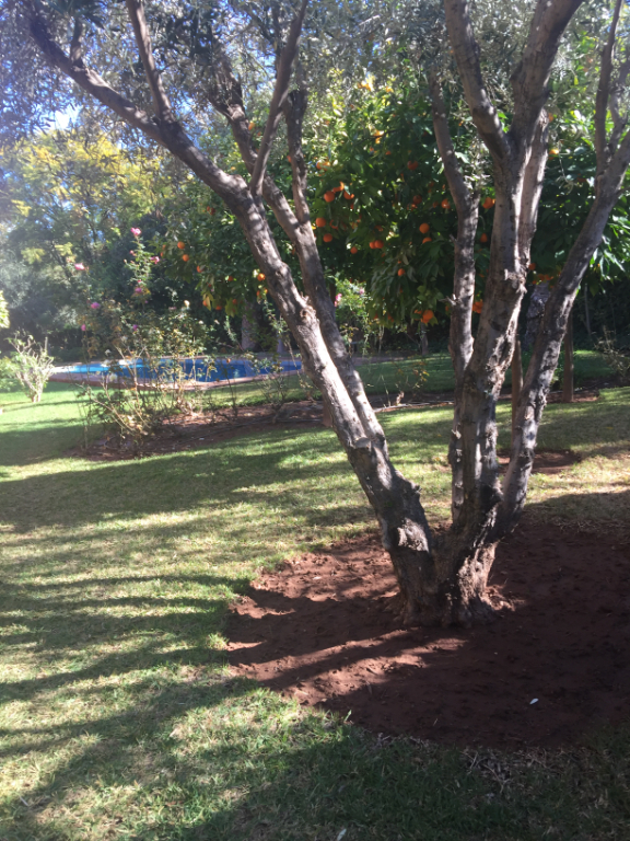 Achat|Vente : Marrakech villa 4 chambres Résidence Hermès