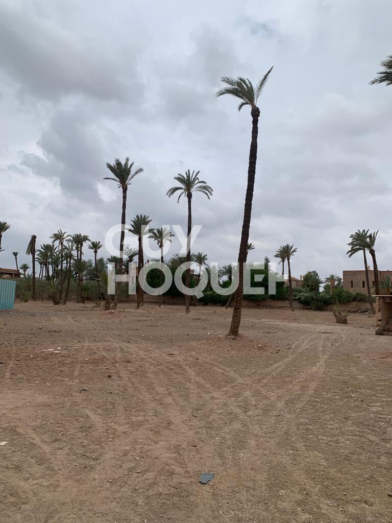 Achat/Vente: Terrain à la palmeraie, Marrakech