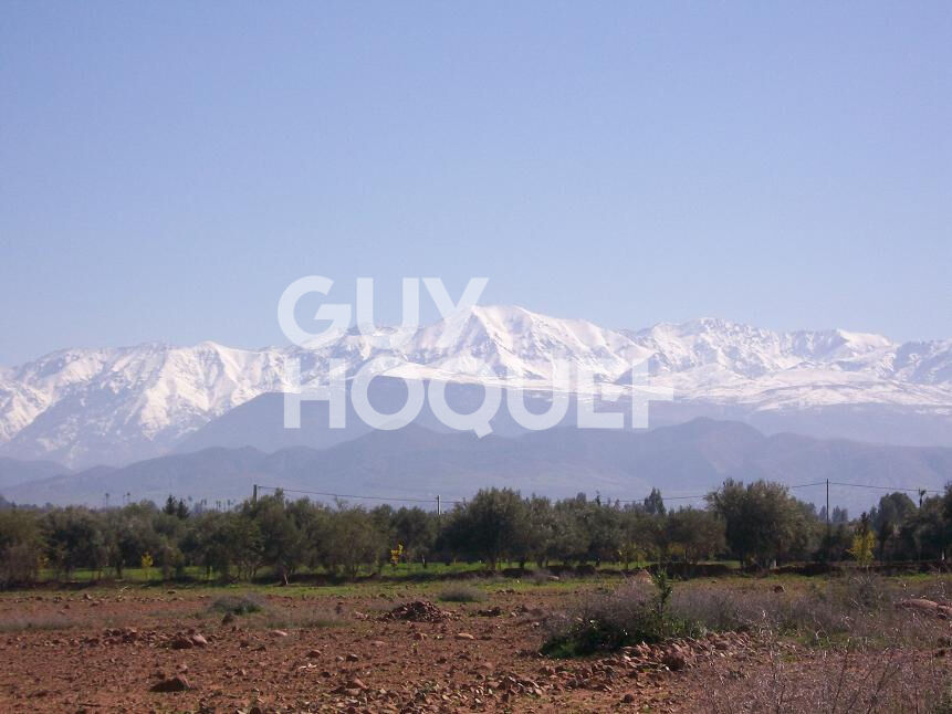 Terrain titré 10 200 m²