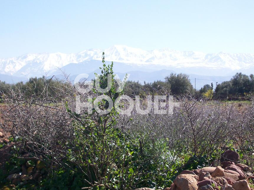 Terrain titré 10 200 m²
